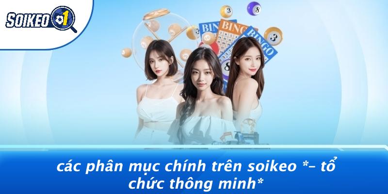 Các Phân Mục Chính Trên VUASOIKEO – Tổ Chức Thông Minh