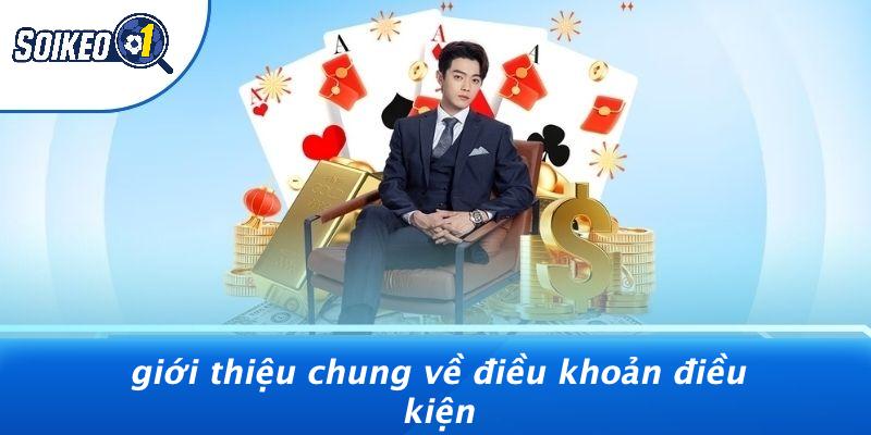 Giới Thiệu Chung Về Điều Khoản Điều Kiện