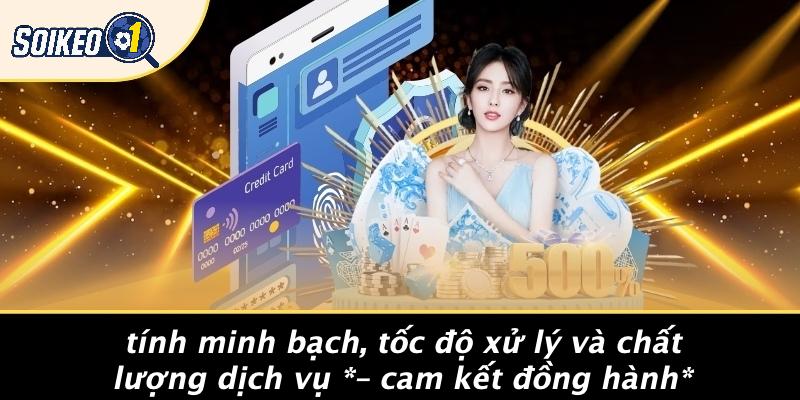 Tính Minh Bạch, Tốc Độ Xử Lý Và Chất Lượng Dịch Vụ – Cam Kết Đồng Hành
